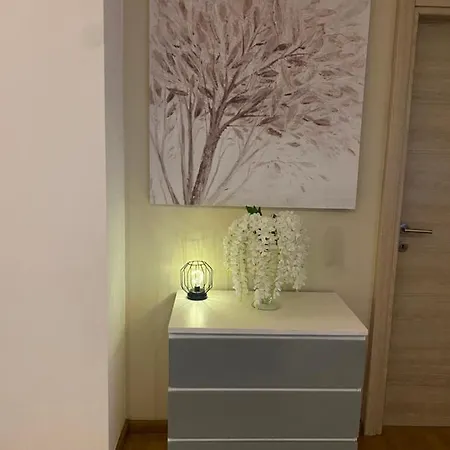 Apartment Luxury Center *